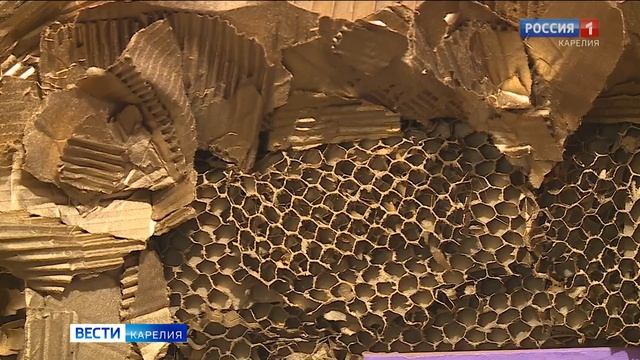 Картина петрозаводского художника едет на выставку в музей современного искусства в Санкт-Петербург смотреть онлайн
