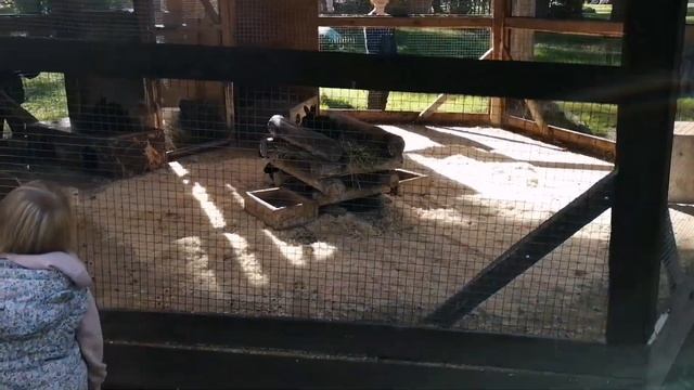 Парк-Отель Дракино короткий обзор. Территория, конный клуб, спа