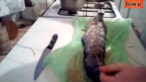 ?Как коптить сома? горячим способом smoked catfish