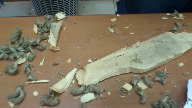 Рез каната разными ножами на выставке ХО в Петах-Тикве 18.07.14 ч.3 смотреть онлайн