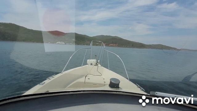 Вышли на рыбалку на SUNAGA BLUE SHARK 260 краткий обзор . смотреть онлайн