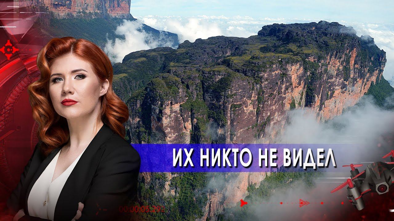 Их никто не видел! Тайны Чапман. (21.06.2021). смотреть онлайн