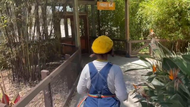 Let's Count to 100! Zoo Animal Visit & Whole Whale Read Aloud with Bri Reads смотреть онлайн