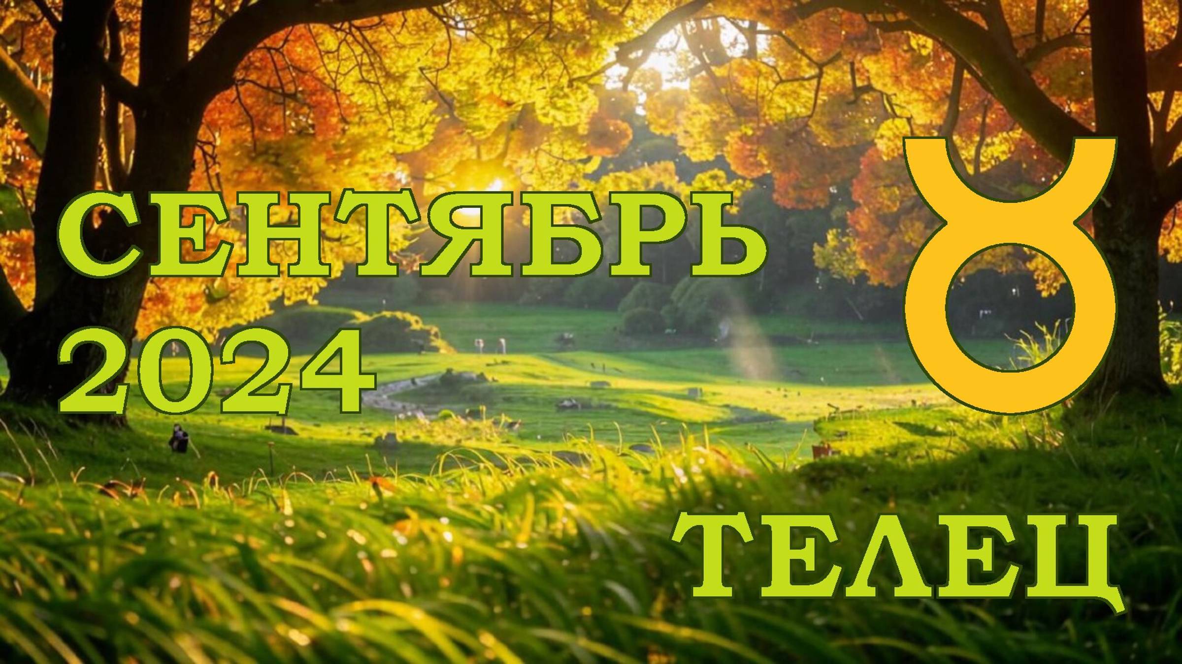 ТЕЛЕЦ | ТАРО прогноз на СЕНТЯБРЬ 2024 года | Желание | Расклад таро | Таро онлайн