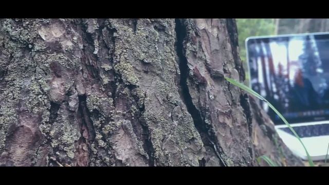 нашел в лесу MacBook Pro 2011