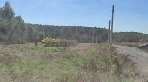 Покос Травы Мульчером ВЕЗДЕКОС ТС-1000