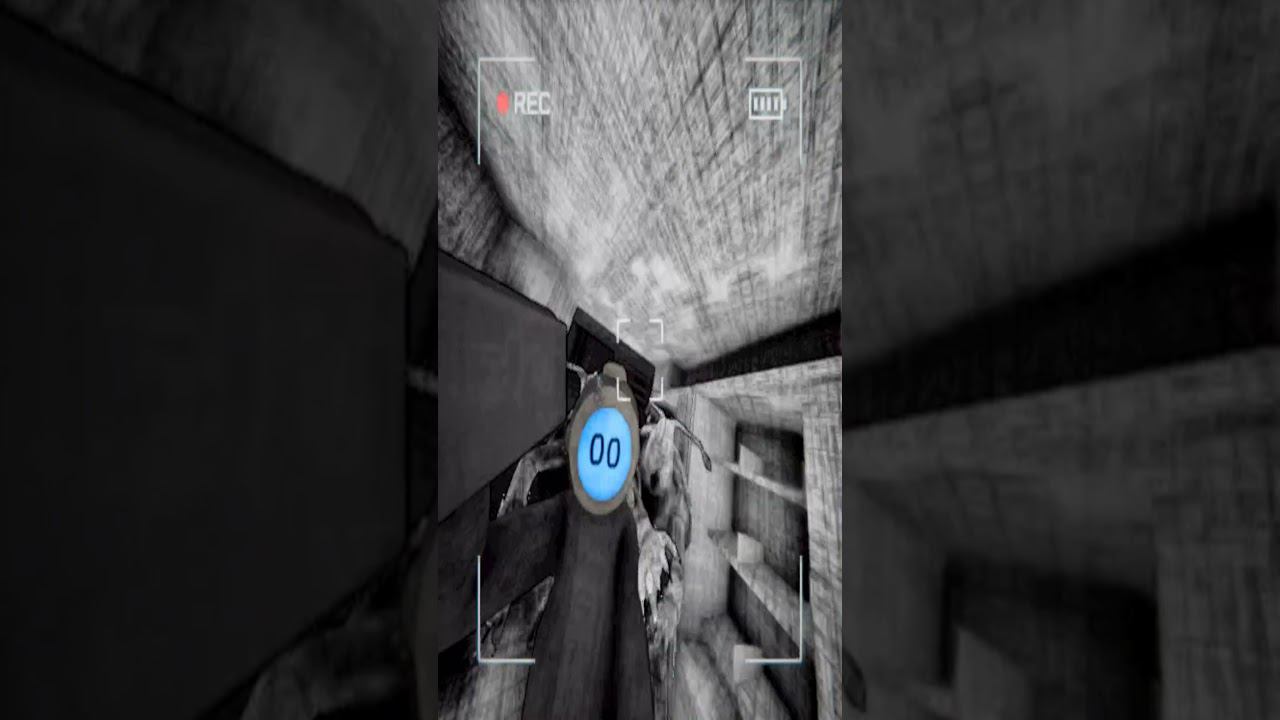 Content Warning VHS ЗАПИСЬ 3 #shorts #contentwarning #coop #Dragonsilvermoon смотреть онлайн