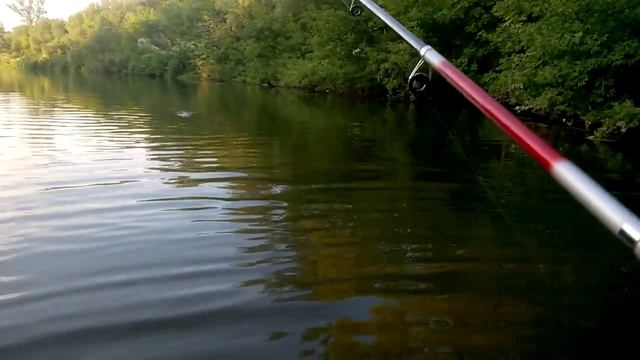 Ловля на попер и хорватское яйцо смотреть онлайн