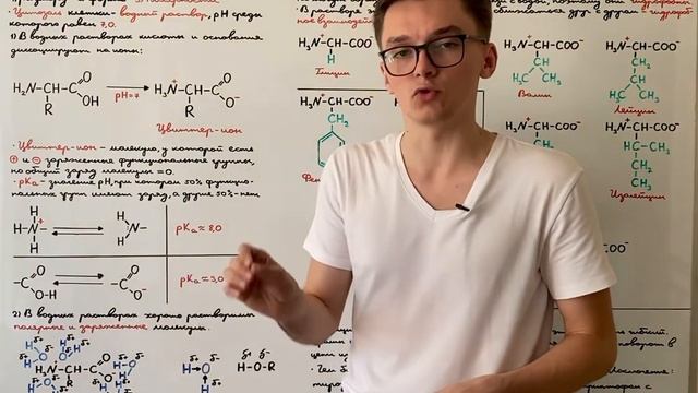 Классификация аминокислот по полярности. Неполярные аминокислоты смотреть онлайн