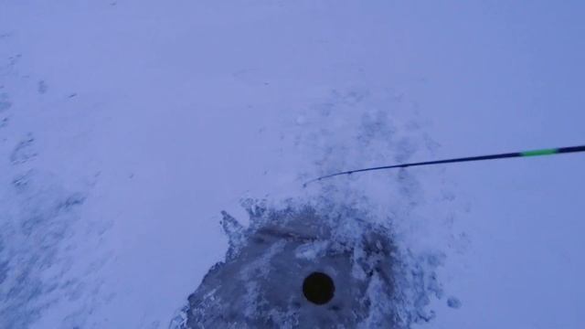 Судак на Madness Baguette. Свияжский Zander