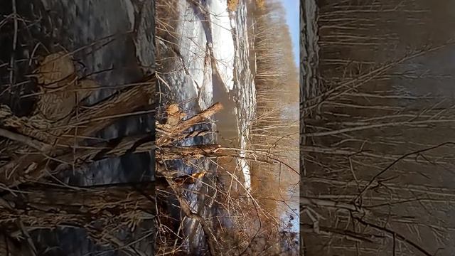 Лед тающий весной смотреть онлайн