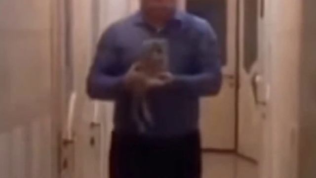 ДЕД НА ГИРОСКУТОРЕ ЭФФЕКТ МАНДЕЛЫ