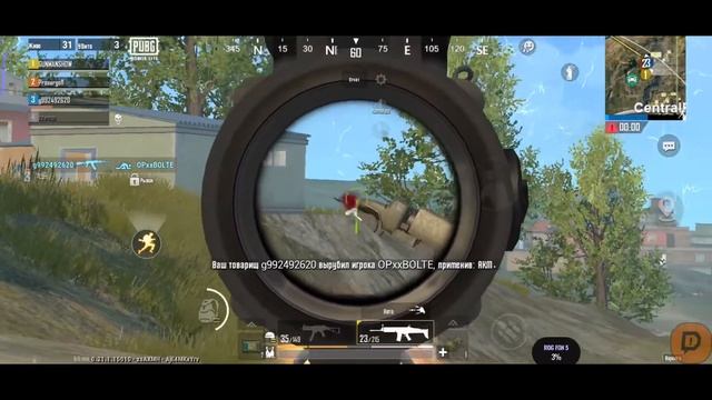 ЧЁ ТАМ ЗА ВИНЕГРЕТ WP | СТРИМ | GUNMANSHOW | PML