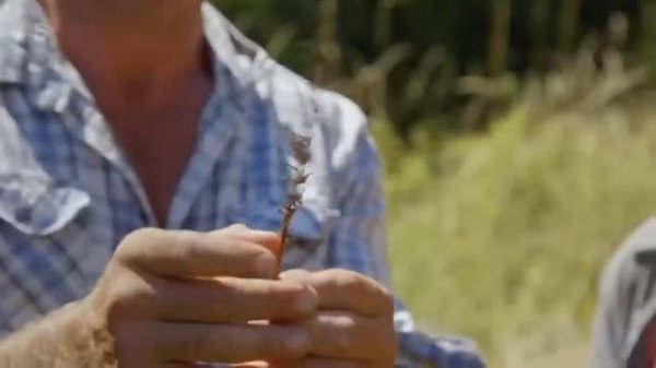 Gravetye Manor, a Garden Lovers Paradise - Carol Klein's Great British Gardens