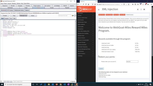 XML Injection (Video solution) смотреть онлайн