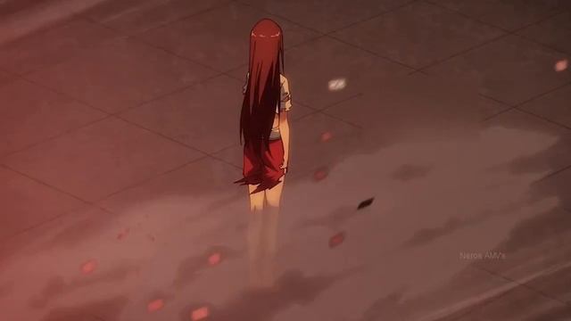 Shin Ikkitousen「AMV」House Of Glass