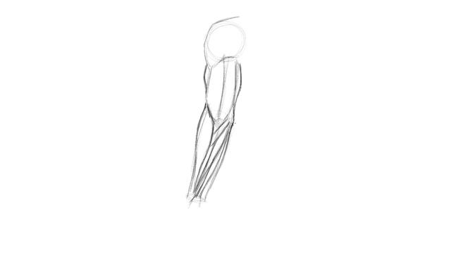 Lesson 01. Drawing the Arm with the Palm Facing Upward смотреть онлайн