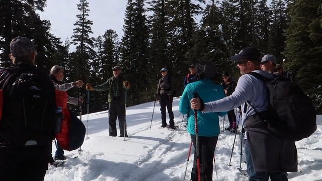 SNOWSHOE to Echo Lake in DESOLATION WILDERNESS—Can Beginners Do It? смотреть онлайн