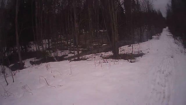 Пение птиц, водопад, заяц. смотреть онлайн