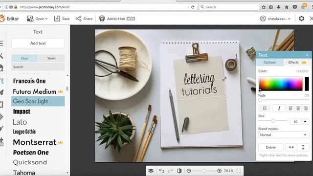 PicMonkey Tutorial смотреть онлайн