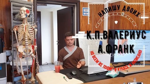 диафрагма при дисфункции поднимается ,а нижняя задняя зубчатая мышца является мышцей вдоха смотреть онлайн