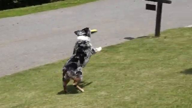 Sony NEX-F3 VGA / 30fps / MP4 daytime sample video смотреть онлайн