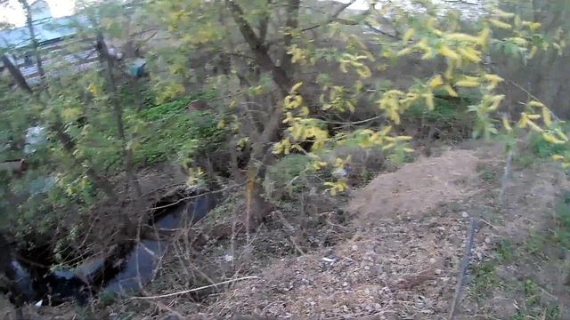 Дача мечты. 2часть. смотреть онлайн