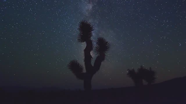 Cell - Audio Deepest Night смотреть онлайн