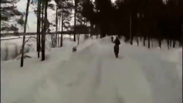 Особенности Зимнего Кабанизма.wmv смотреть онлайн