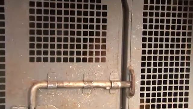 07 BRIGA DE VIZINHOS NO AVELINO PIACENTINI смотреть онлайн