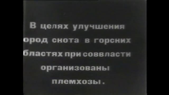 Ингушетия Галашкино 1919 г. смотреть онлайн