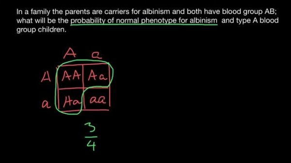 How to calculate joint probability of the two independent traits
