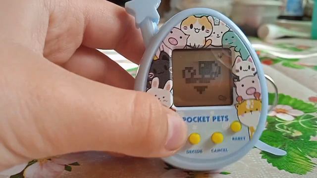 тутор как пользоваться тамагочи с 4 кнопками смотреть онлайн