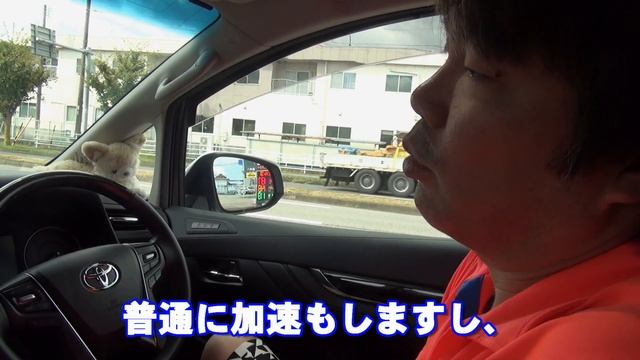 【使用】アルヴェル30系オートクルーズ燃費どうなの？？【未使用】 смотреть онлайн