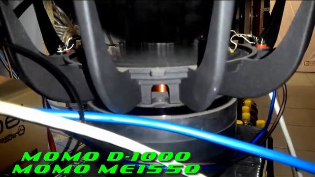 MOMO D-1000