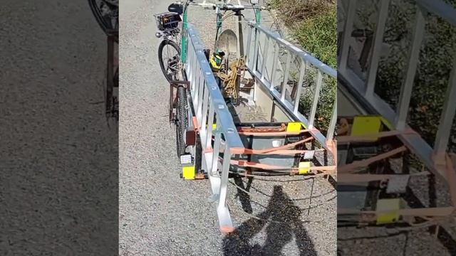 вывоз веток смотреть онлайн