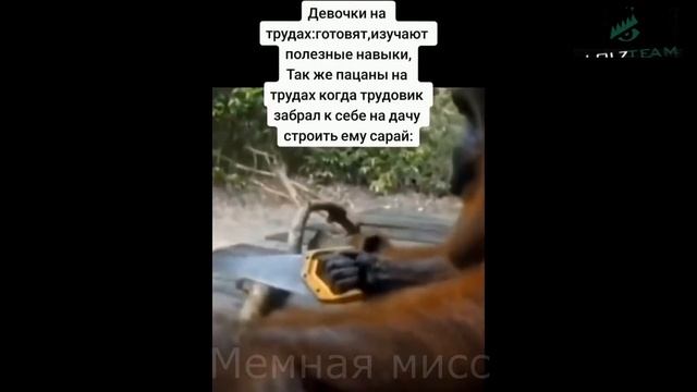 тик ток стал инжинером l подборка мемов смотреть онлайн
