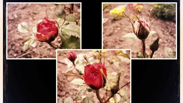 русская музыка 2015 сборник смотреть онлайн