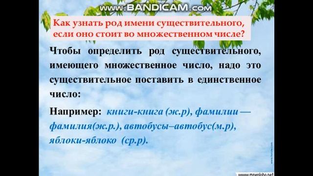 Род имен существительных во множественном числе 3 класс. смотреть онлайн