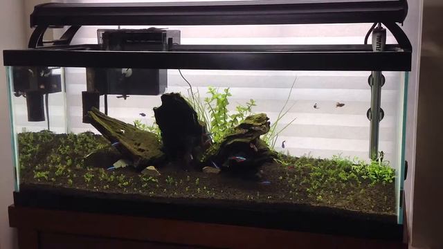 Rescape Oh No смотреть онлайн