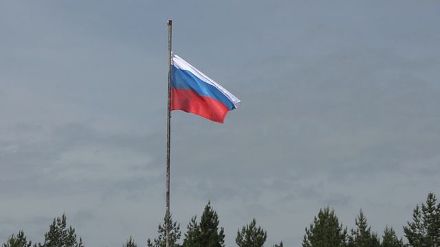 MVI_2365 смотреть онлайн
