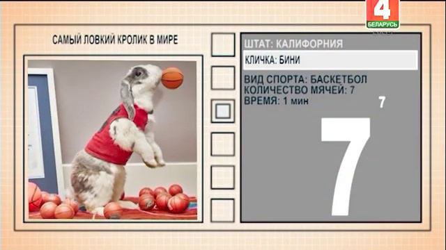 Утренний эспрессо 10-01-19 смотреть онлайн