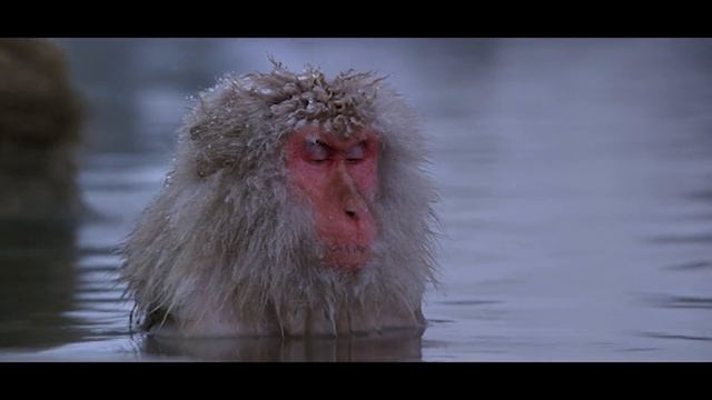 Осознанность. Послание человеку смотреть онлайн