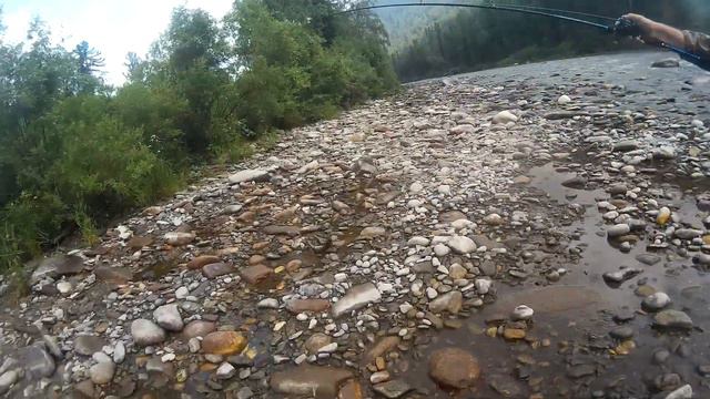 Петрович профи. смотреть онлайн