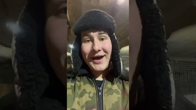 Что значит комолая корова ?! смотреть онлайн