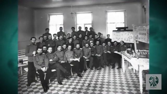 Пептиды Хавинсона. Часть 1 смотреть онлайн