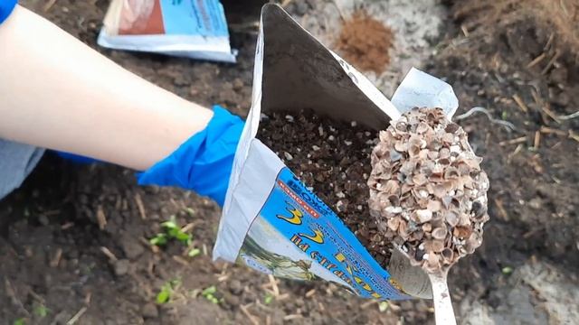 Тридцать три Богатыря и Кормилица -Микориза. Сажаем теплицу. смотреть онлайн