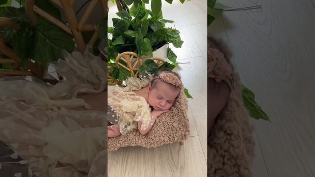 Фотосессия новорождённого дома. Используем домашние растения.