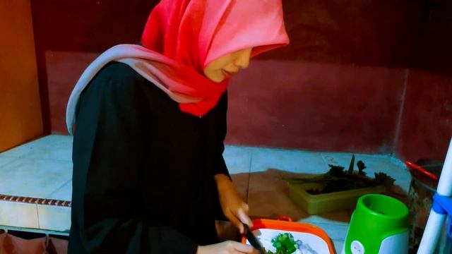 LET'S try Indonesian Fried Rice | El Arroz Frito de Indonesia ?? смотреть онлайн