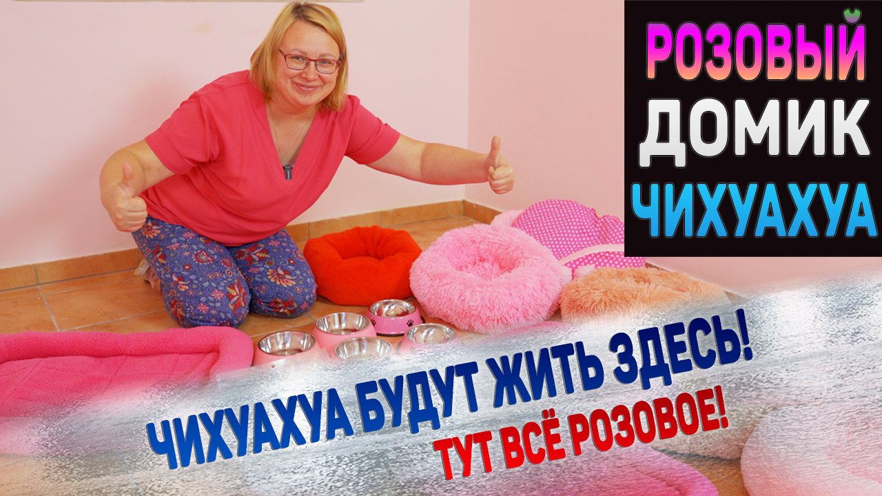 Где будет новый дом для чихуахуа? смотреть онлайн